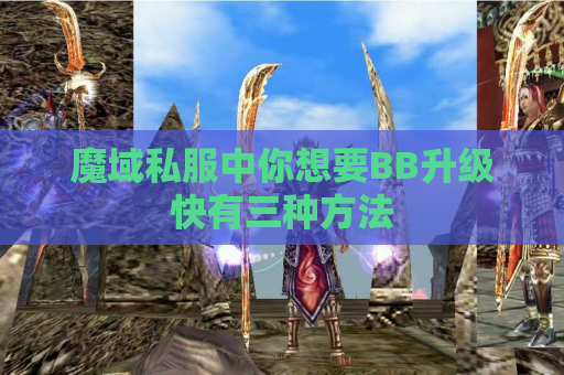魔域私服中你想要BB升级快有三种方法