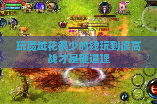 玩魔域花很少的钱玩到很高战才是硬道理 玩魔域花很少的钱玩到很高战才是硬道理