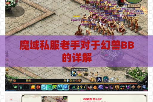 魔域私服老手对于幻兽BB的详解
