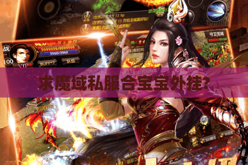 求魔域私服合宝宝外挂?