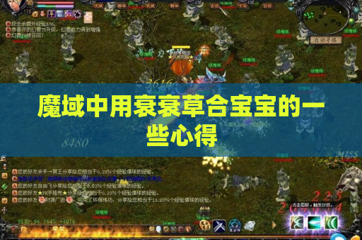 魔域中用衰衰草合宝宝的一些心得 魔域中用衰衰草合宝宝的一些心得