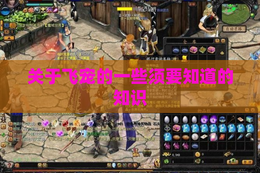 关于飞宠的一些须要知道的知识
