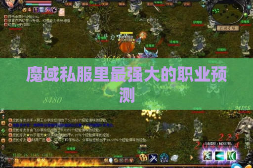 魔域私服里最强大的职业预测