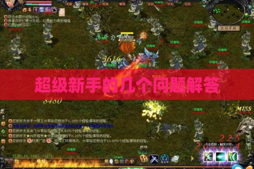 超级新手的几个问题解答