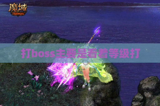 打boss主要是看着等级打 打boss主要是看着等级打