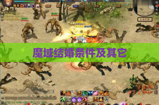 魔域结婚条件及其它 魔域结婚条件及其它