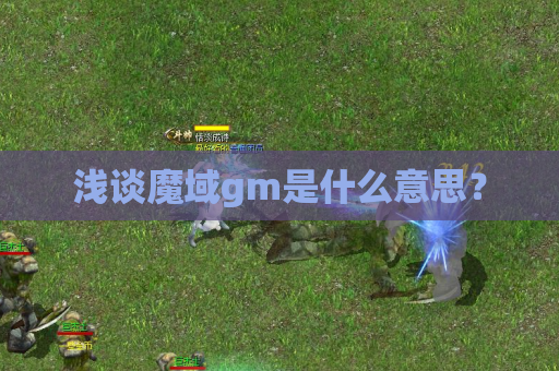 浅谈魔域gm是什么意思? 浅谈魔域gm是什么意思?