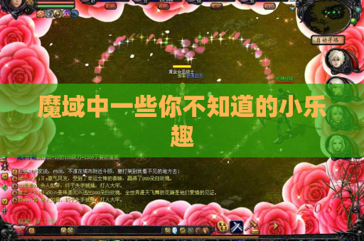 魔域中一些你不知道的小乐趣