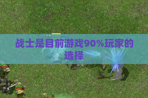战士是目前游戏90%玩家的选择 战士是目前游戏90%玩家的选择