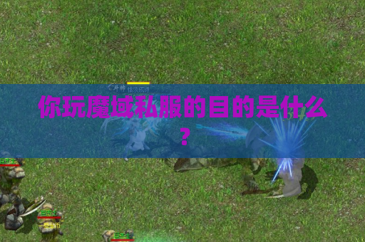 你玩魔域私服的目的是什么? 你玩魔域私服的目的是什么?
