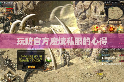 玩防官方魔域私服的心得 玩防官方魔域私服的心得