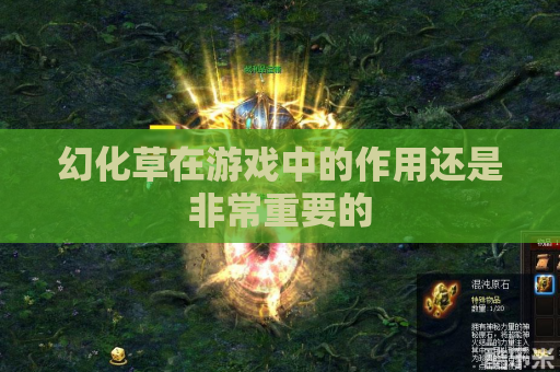 幻化草在游戏中的作用还是非常重要的 幻化草在游戏中的作用还是非常重要的