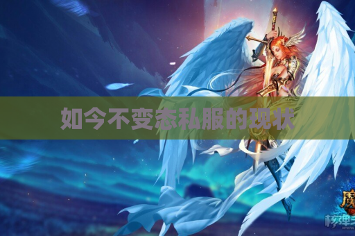 如今不变态私服的现状 如今不变态私服的现状
