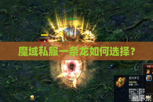 魔域私服一条龙如何选择? 魔域私服一条龙如何选择?