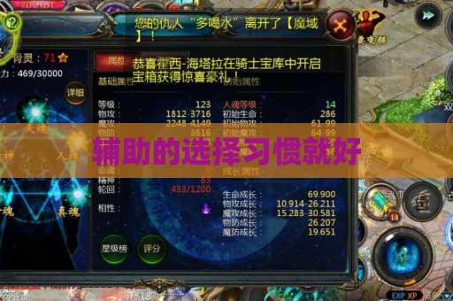 辅助的选择习惯就好 辅助的选择习惯就好