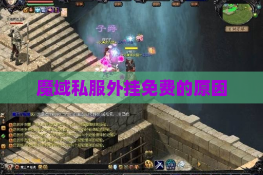 魔域私服外挂免费的原因 魔域私服外挂免费的原因