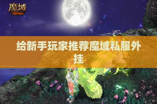 给新手玩家推荐魔域私服外挂