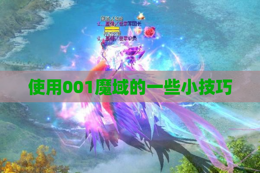 使用001魔域的一些小技巧