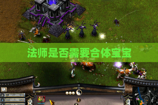 法师是否需要合体宝宝 法师是否需要合体宝宝