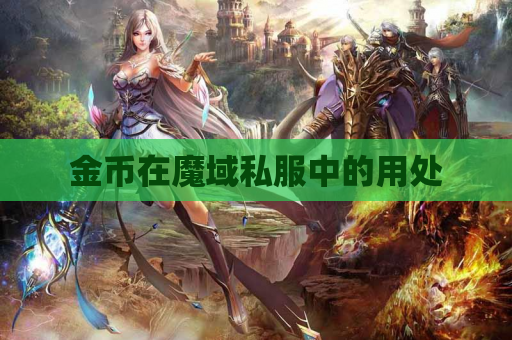 金币在魔域私服中的用处 金币在魔域私服中的用处