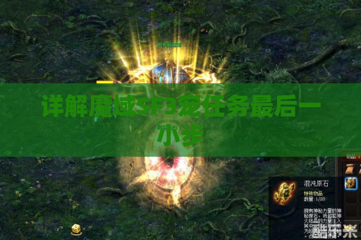 详解魔域SF3宠任务最后一小步
