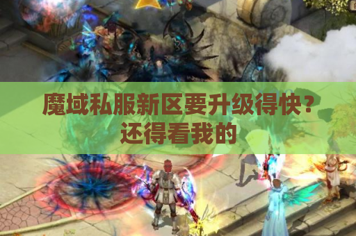 魔域私服新区要升级得快？还得看我的